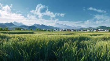 西藏旅游包车出行攻略：1K/天，自由畅游高原美景