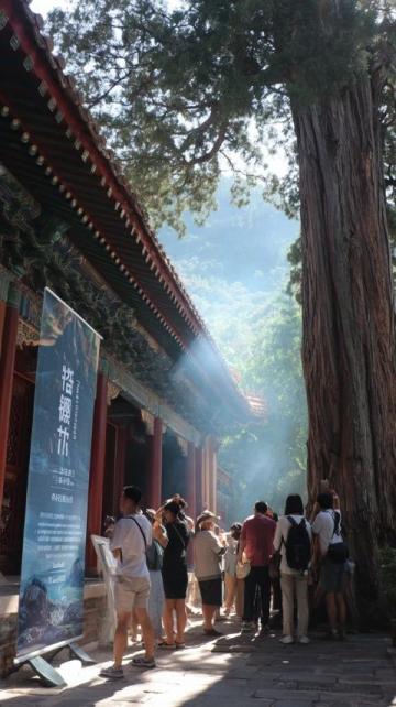 古人的网红打卡地:庐山美景引诗仙墨客争相游览