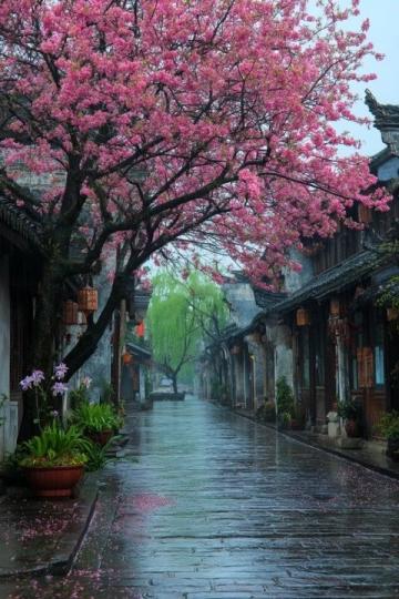 春季乡村旅游推荐:中国十大美丽乡村路线