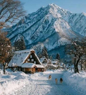 探索白山冬日奇景：天池雪域旅游攻略与美食住宿推荐