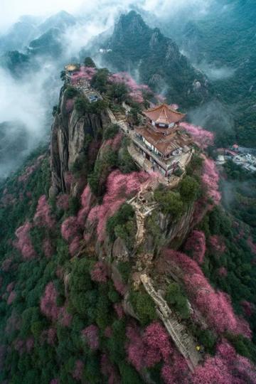 千佛山游玩攻略：泉城最佳观景台与登山体验的完美融合