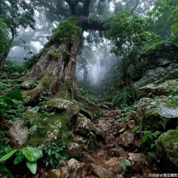 溧阳瓦屋山旅游攻略:亲子游必去景点推荐
