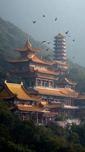 山东潍坊旅游攻略(潍坊搞笑旅游攻略)