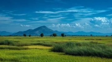 西双版纳旅游最佳季节及出行攻略全解析