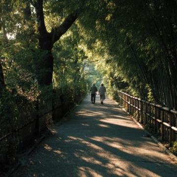 金华平顶山森林公园:古迹探寻与自然风光的完美邂逅