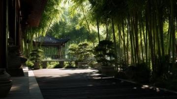信宜马安竹海旅游度假区_信宜马安竹海旅游度假区粤西的竹林秘境