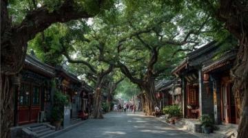 探索济南周边:最佳微度假目的地——雪野旅游区