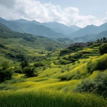 全国春季乡村旅游推荐线路:赏花踏青游美丽乡村