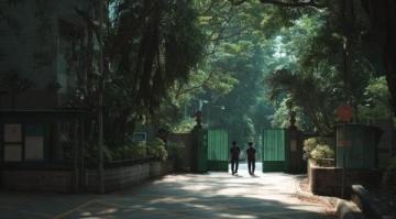 青春旅程:周末直抵岭南的说走就走旅行攻略与必游景点推荐