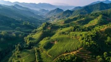 增城白水寨旅游攻略:避开雷区,享受完美旅程