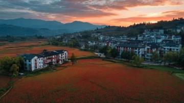 西藏旅游攻略：探索高原秘境的实用指南