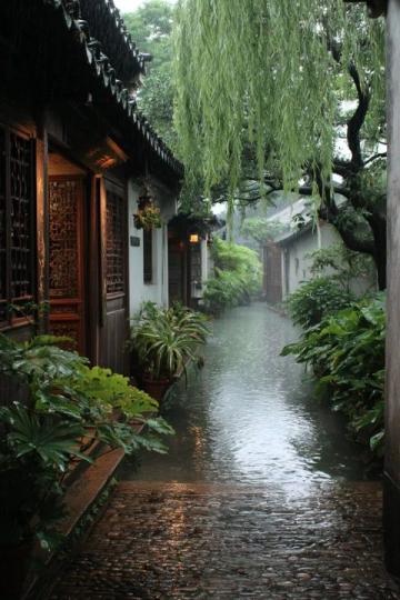 退休后首度独自出行,无锡苏州八日游花费几何?
