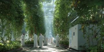 太空培育：一颗种子见证农业革新之旅