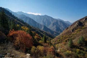 西岭雪山自由行攻略 西岭雪山自由行攻略及游记