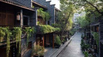金佛山旅游指南:畅游重庆南川美景