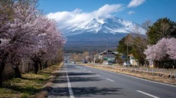春天里的美好之旅：赏花、自然景观和古镇的魅力