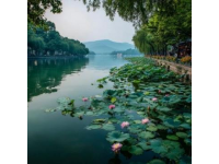 武汉是一座历史文化悠久、自然风光优美、美食丰富的城市，以下是一份旅游攻略