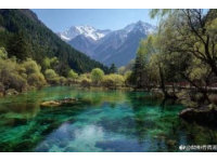 云南旅行杂记(一)——避暑之旅