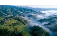 望仙谷旅游攻略：江西省首选的热门度假目的地