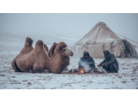 六月底新疆旅游，当地租车分享