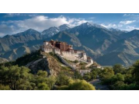 全方位甘南之旅指南，深度体验藏域魅力