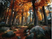 秋季旅行必备：8至10月最佳旅游目的地推荐与拍照技巧分享