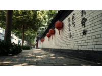 自驾探秘：聊城古韵风情自驾游