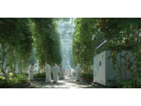 太空培育：一颗种子见证农业革新之旅