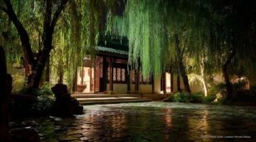 泉州开元寺游玩攻略：双塔与古树