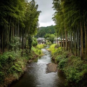 旅行我的旅行日记想邂逅最诗意的江南？这份7日江苏精华环线攻略请收好！