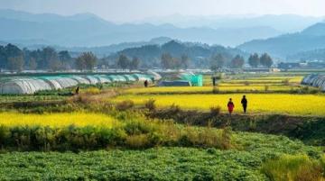 云南旅游攻略大全：避开人群高峰，享受花海、秋色与暖冬的绝佳时刻，五一出游必备指南