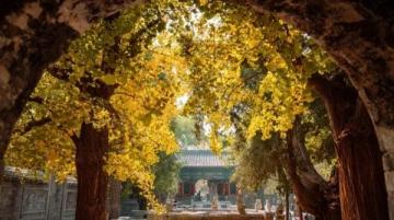 徐州到皇城相府_焦作到皇城相府旅游攻略