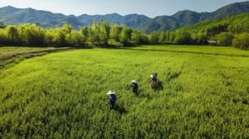 溧水洪蓝体验乡村旅游攻略