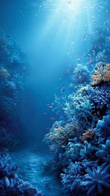 青岛海昌极地海洋公园和海底世界_青岛旅游必看！海底世界和极地海洋公园到底怎么选？