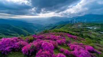 五一自驾游:湖南永州双牌县阳明山攻略—供大家参考