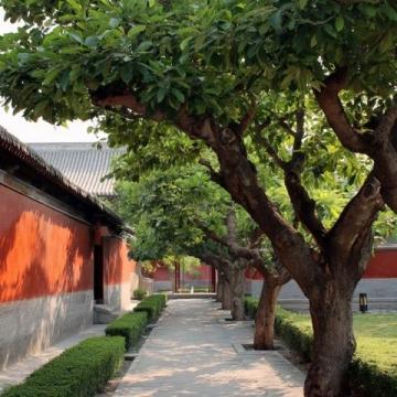 清明上河园一日游攻略：沉浸式宋朝文化体验