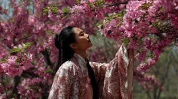 云南旅行Vlog:追寻风花雪月的美好地方