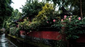 湛江徐闻南极村旅游指南