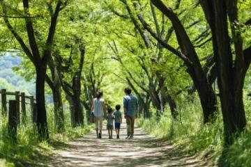 五一黄金周旅游攻略:春末夏初国内游精选线路推荐