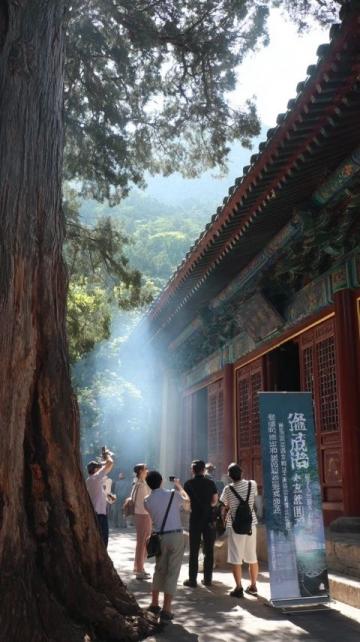 成都九寨沟四姑娘山川西5日游攻略