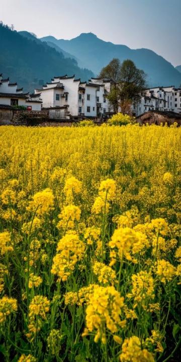 昆明附近小众景点推荐实地探访，4月末5月初的昆明美景之地昆明昆明花