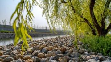 济南旅游全指南：景点、交通与小贴士，开启魅力泉城之旅