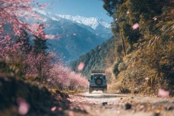 五一假期邮游风光,融合欢庆旅途精彩瞬间