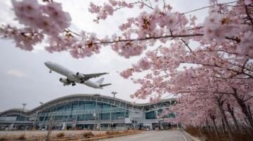 2025年五一假期后全国旅游业持续火爆,官方数据即将发布