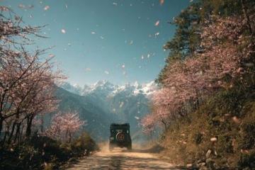 自驾318川藏线是许多旅行者的梦想，这条路线被誉为中国最美的景观大道