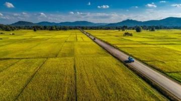 汉中留坝最美乡村公路：走红网络，成为热门话题