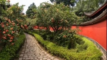 厦门深度游指南：体验文艺、海景与美食的魅力