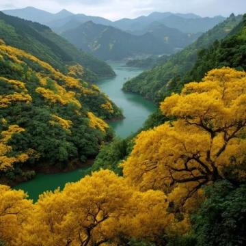 中国十大必游景区,绝美风景值得一探究竟