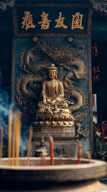 无锡三日游攻略：鼋头渚、灵山大佛与南长街探秘之旅