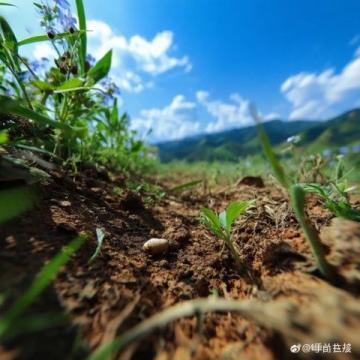 武功山两天一夜旅游攻略:精选游玩攻略和出行秘籍
